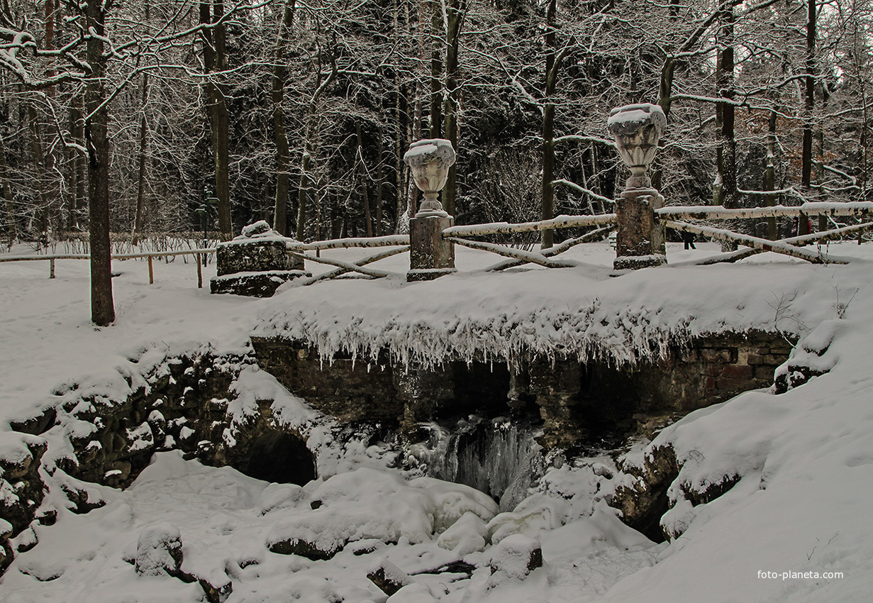 В Павловском парке