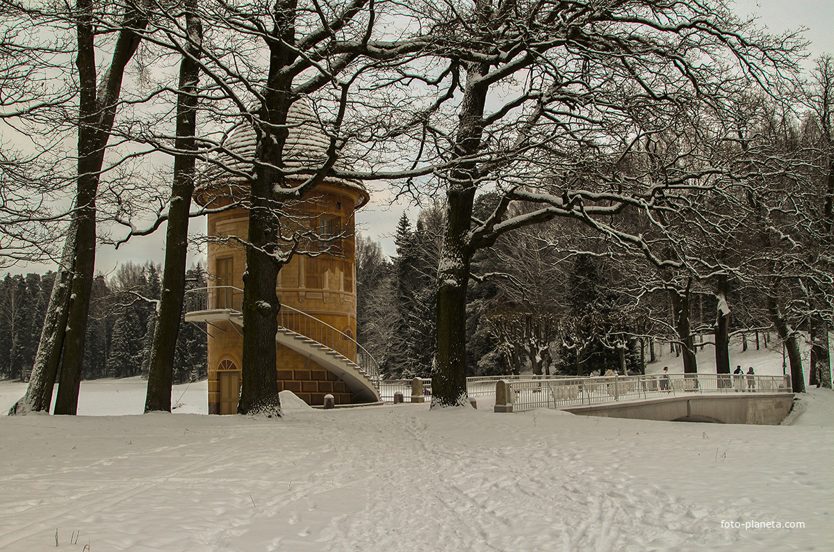 В Павловском парке