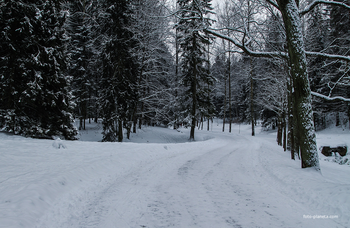 Павловский парк