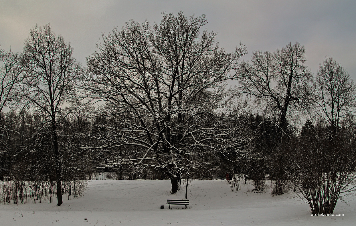 В Павловском парке