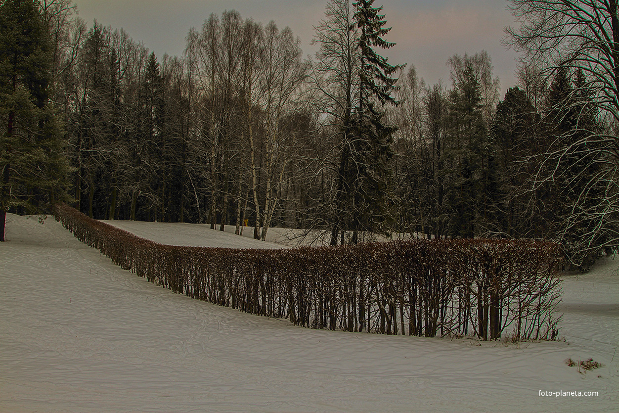 Павловский парк