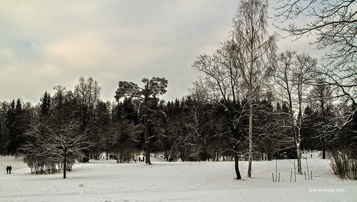 Павловский парк