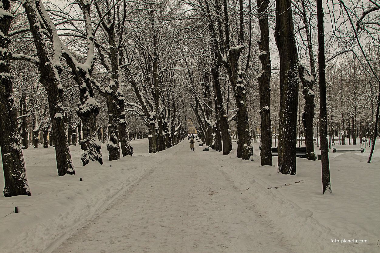 Павловский парк