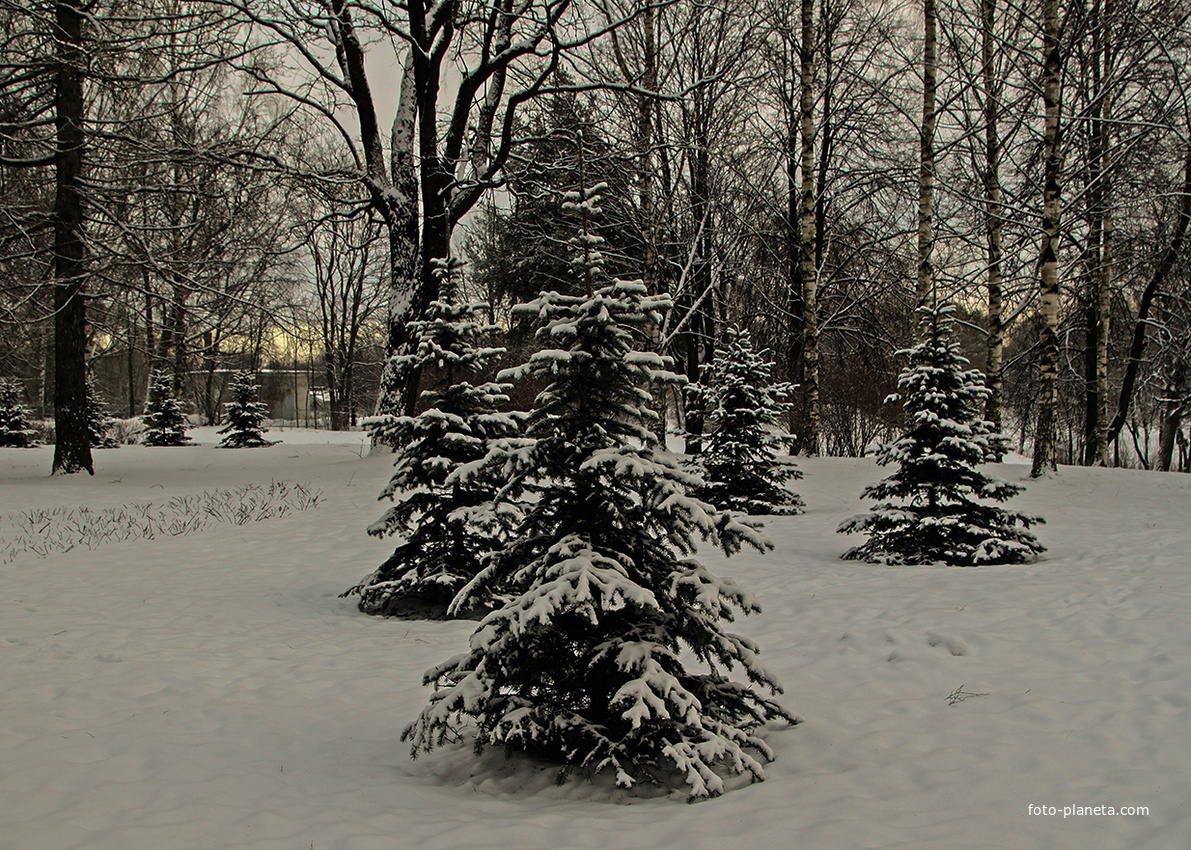 Сквер в Павловске