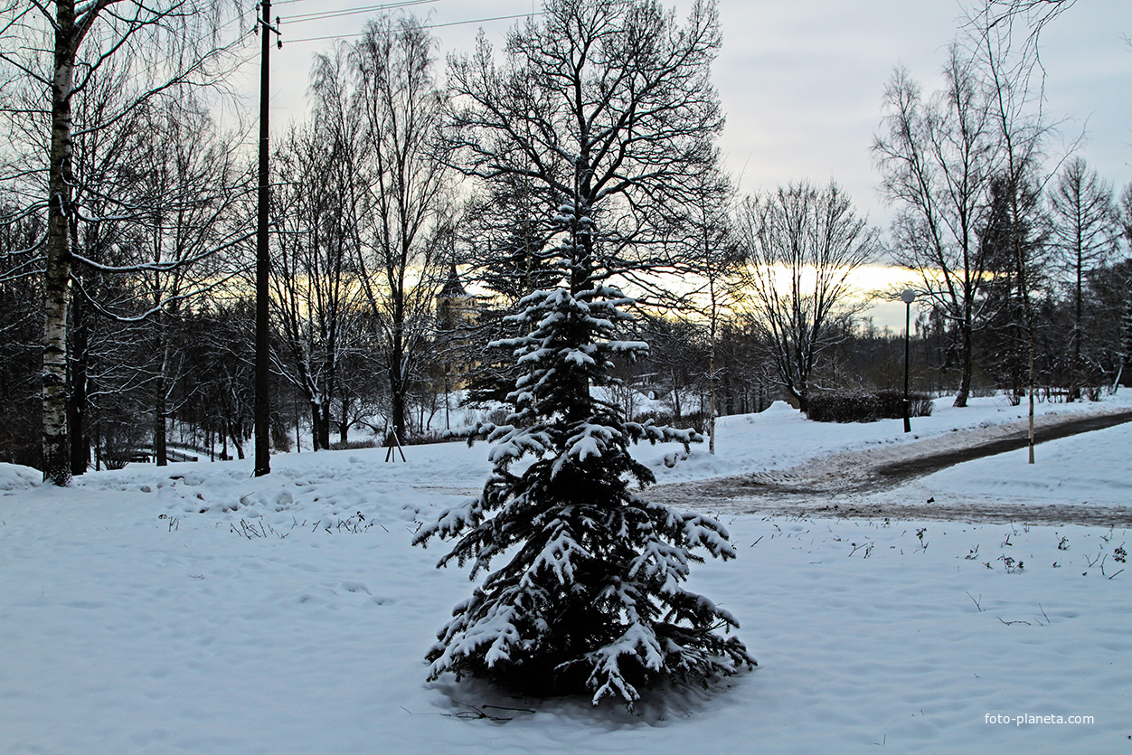 В Павловске