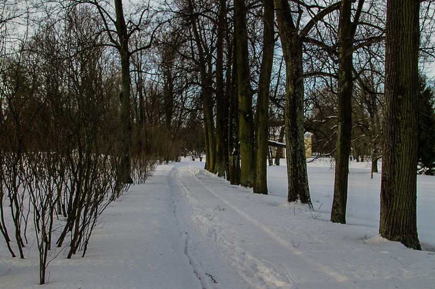 Дорожка в парке