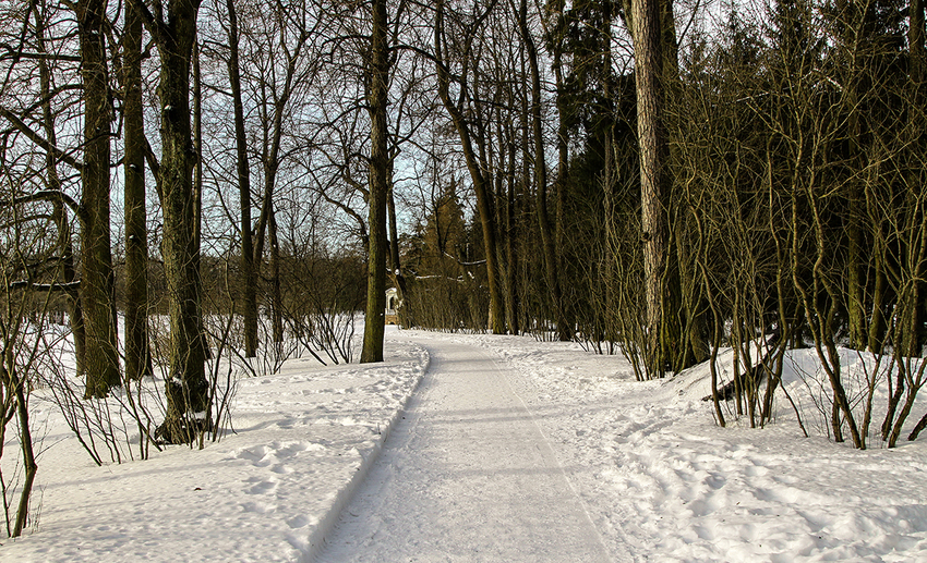 Дорожка в парке