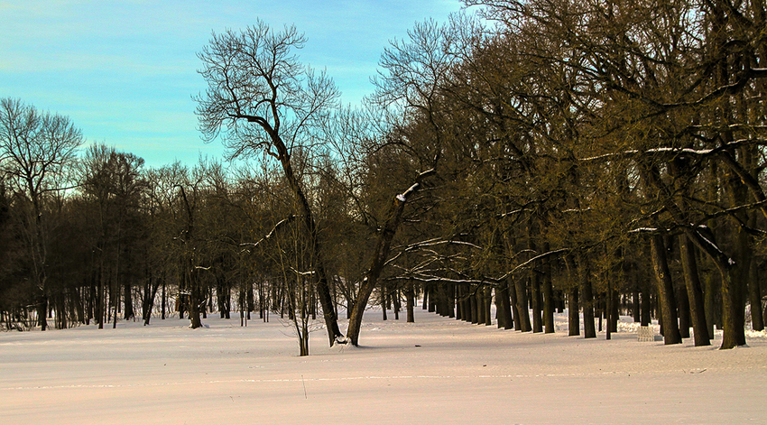 Екатерининский парк