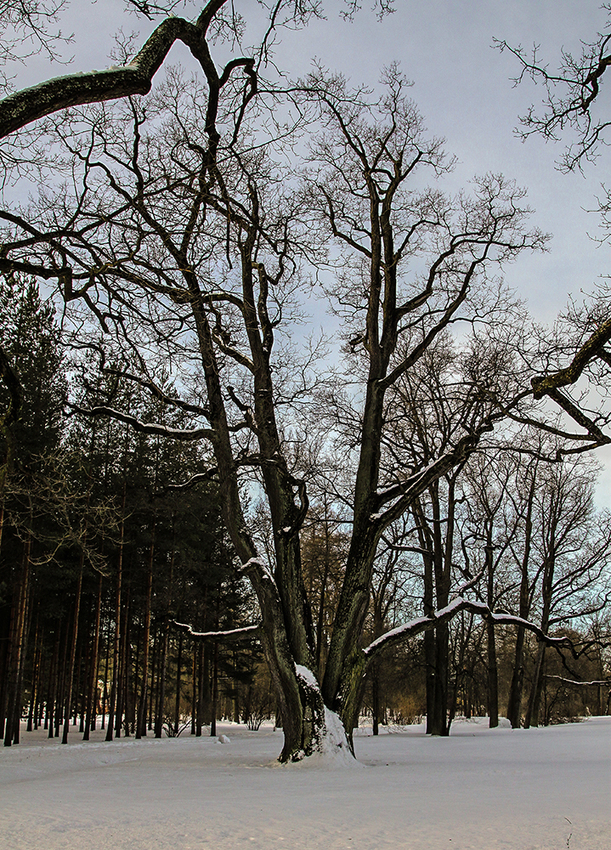 Екатерининский парк