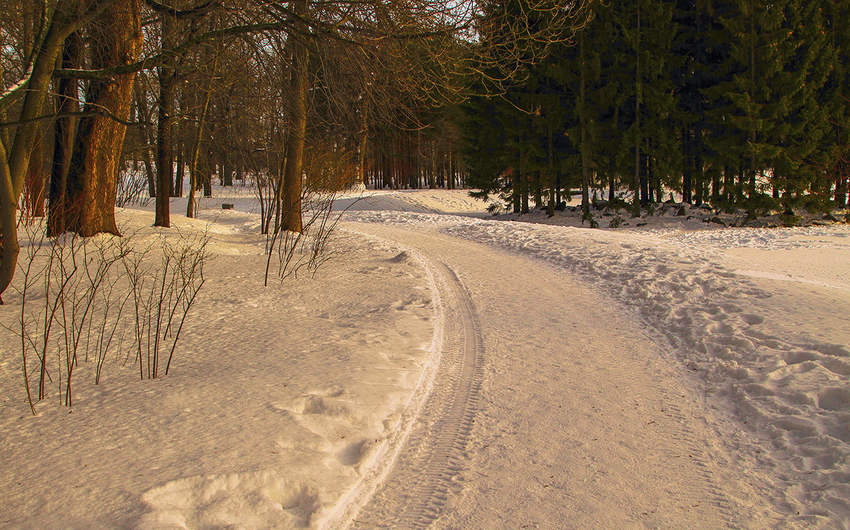 Дорожка в парке