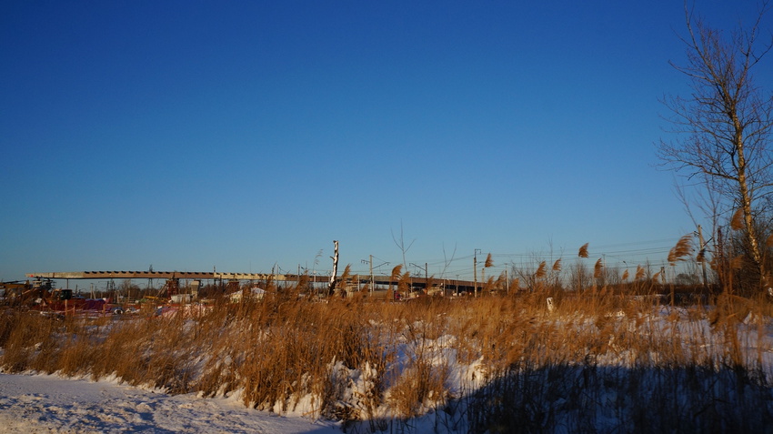 Новая эстакада