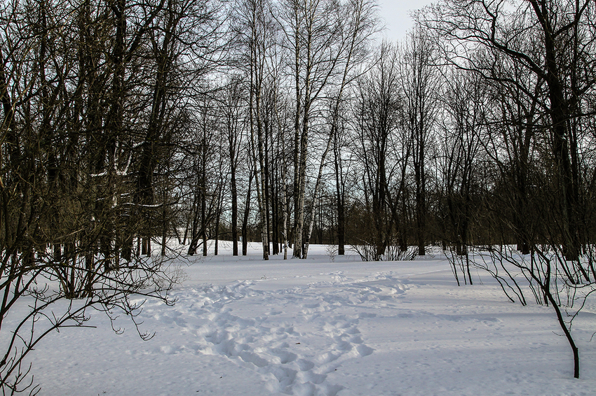 Екатерининский парк