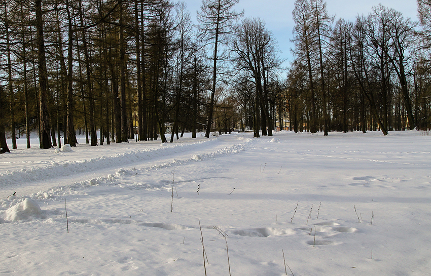 Екатерининский парк