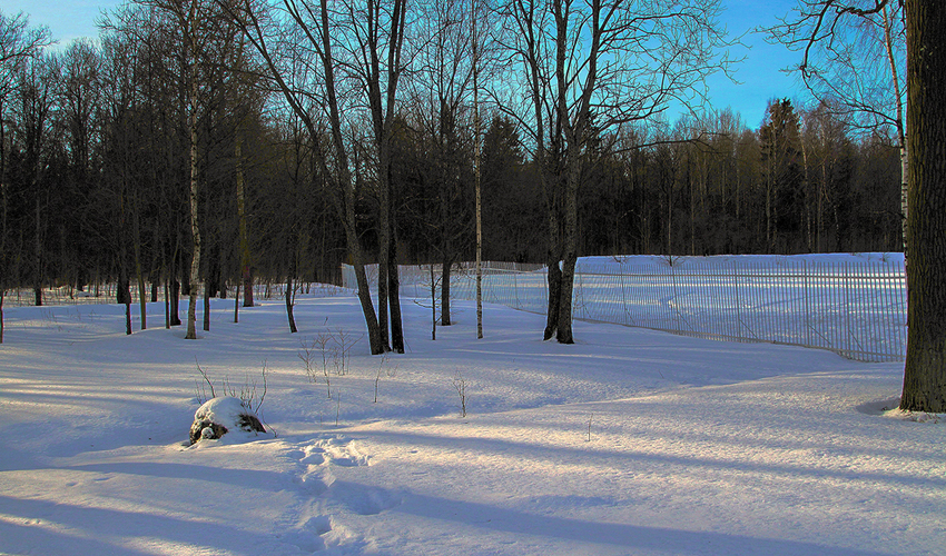 Александровский парк