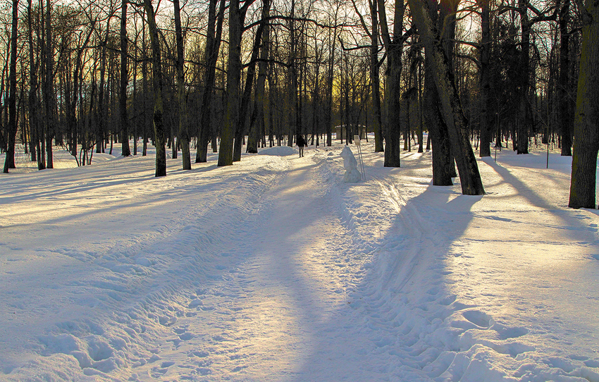 Александровский парк