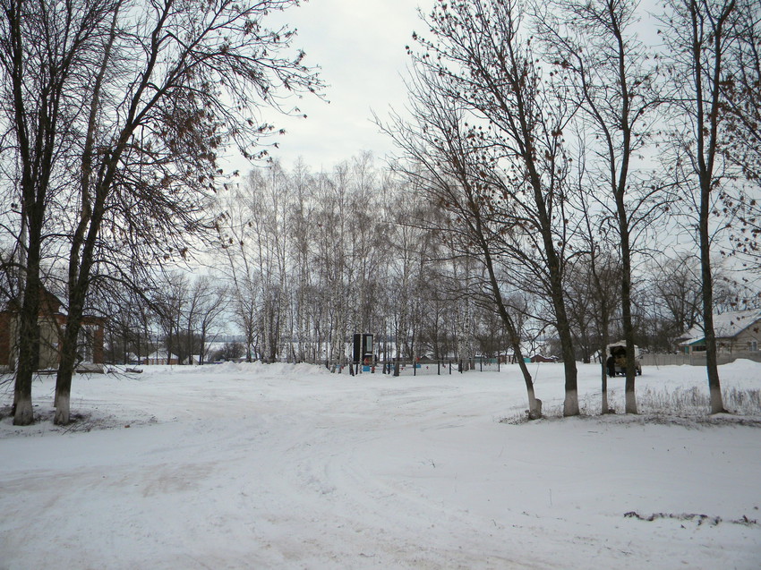 Облик села Березовка