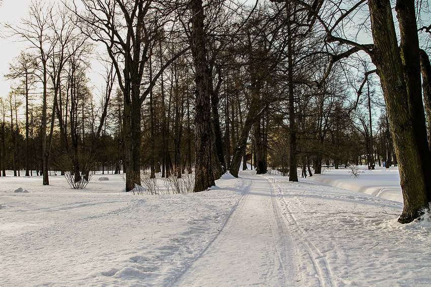Екатерининский парк