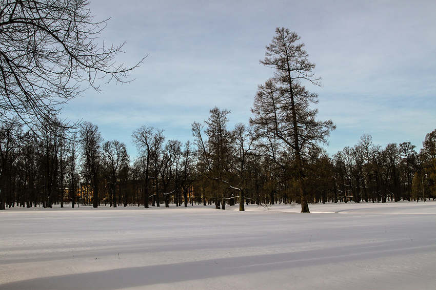 Екатерининский парк