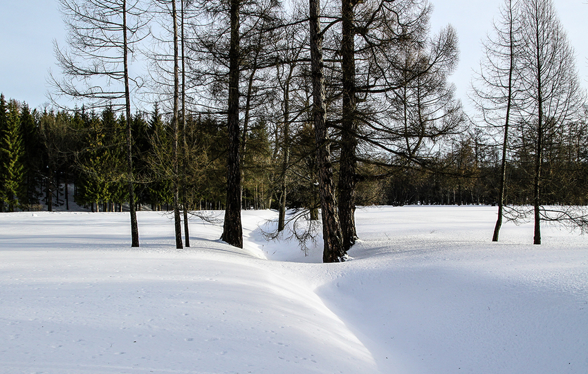 Екатерининский парк