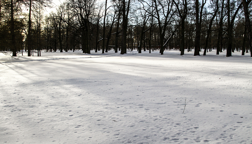 Екатерининский парк