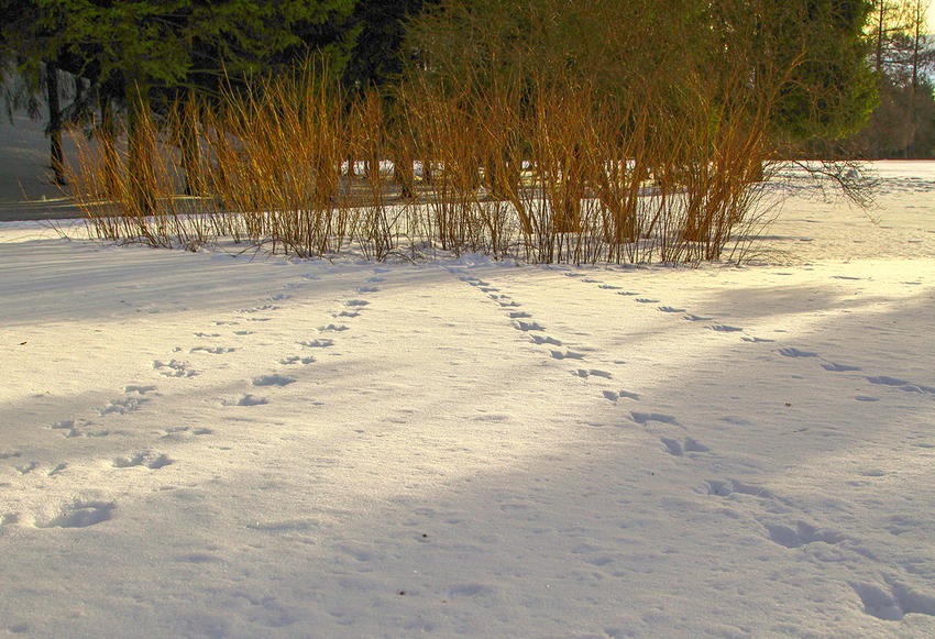 Екатерининский парк