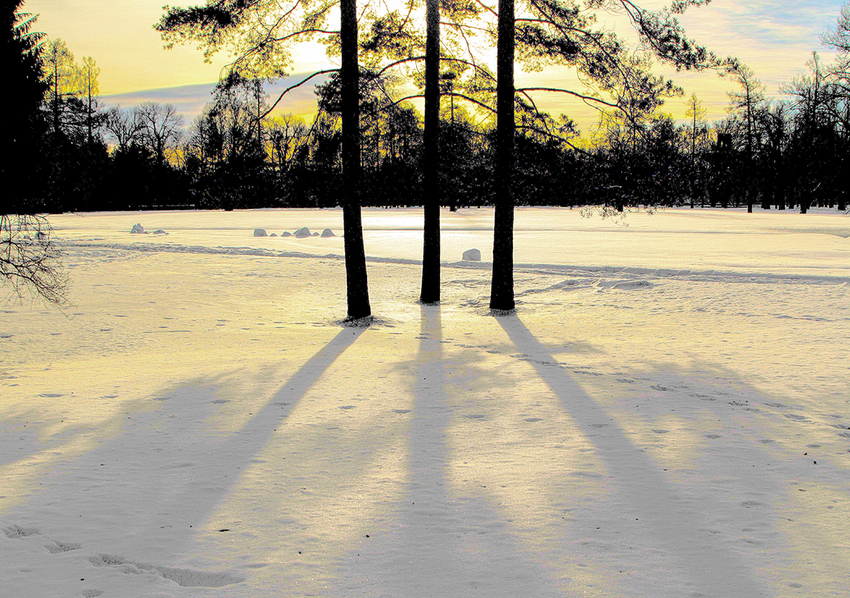 Екатерининский парк