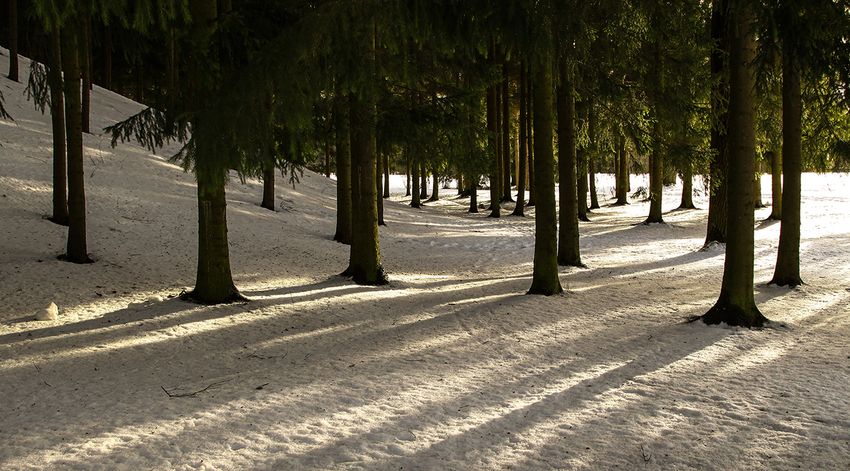 Екатерининский парк