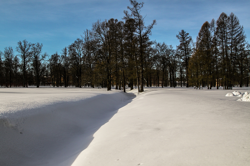 Екатерининский парк