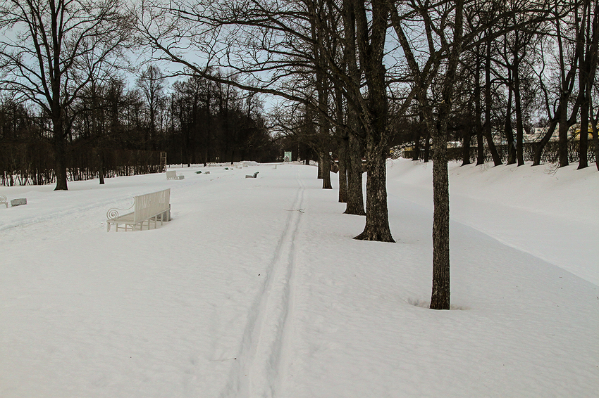 Александровский парк
