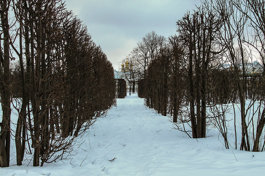 Александровский парк