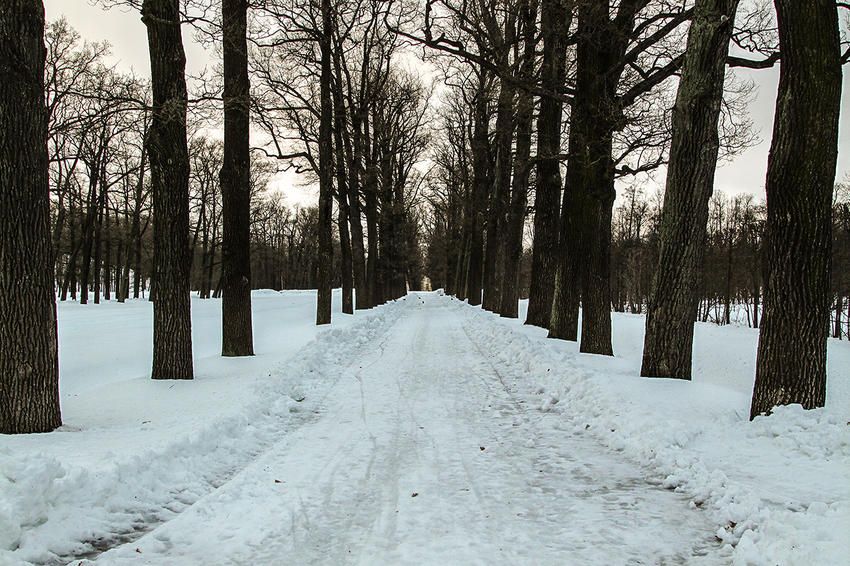 Александровский парк