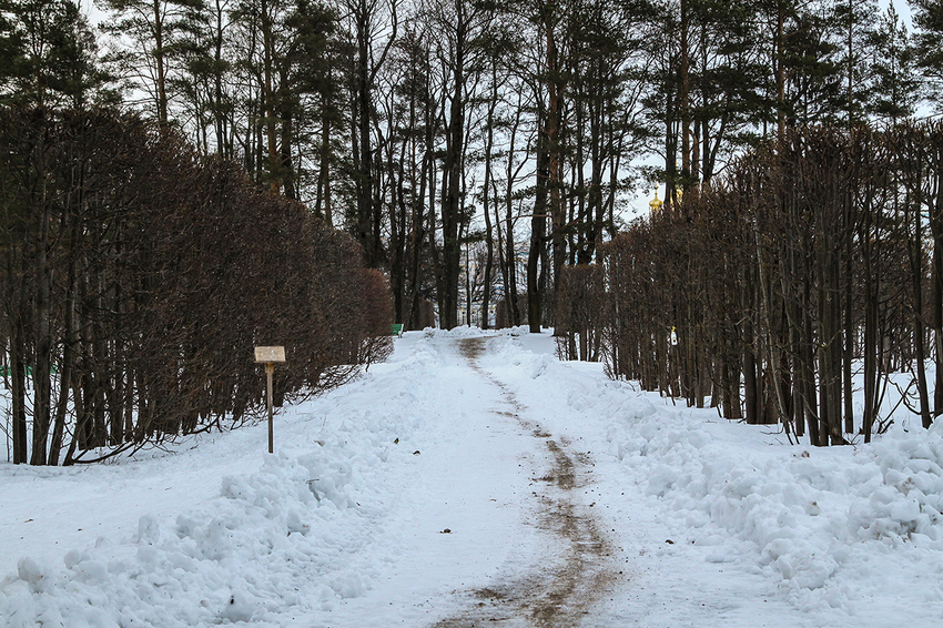 Александровский парк