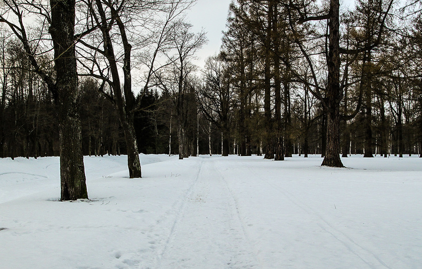 Александровский парк