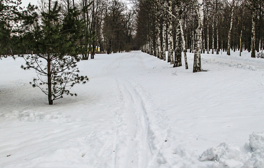 Александровский парк