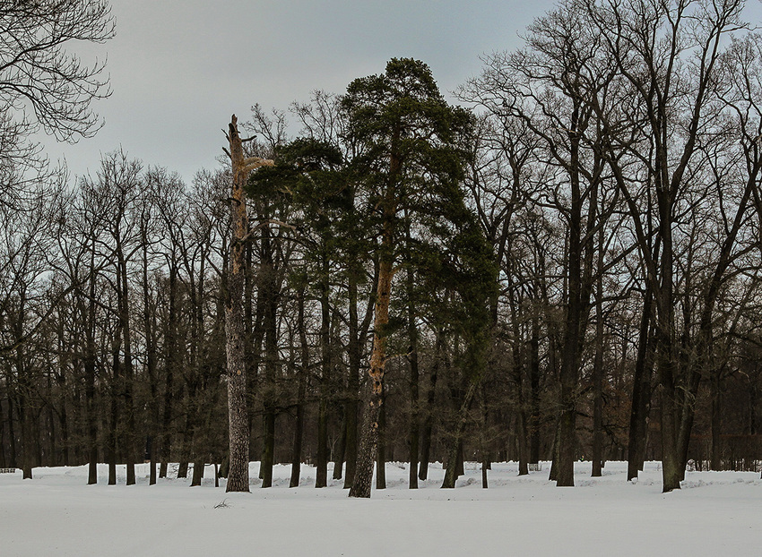 Александровский парк