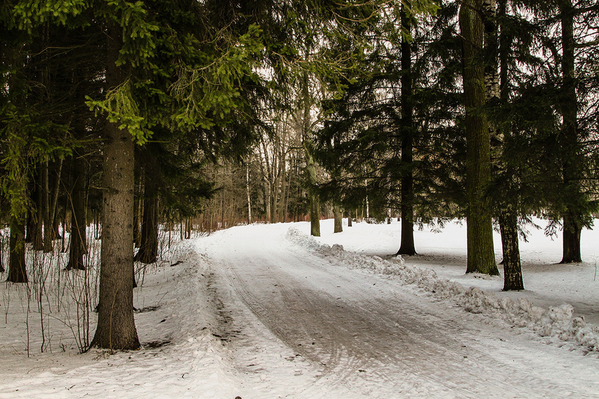 Александровский парк