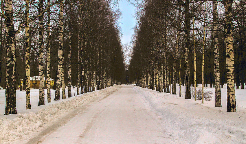 Аллея в парке