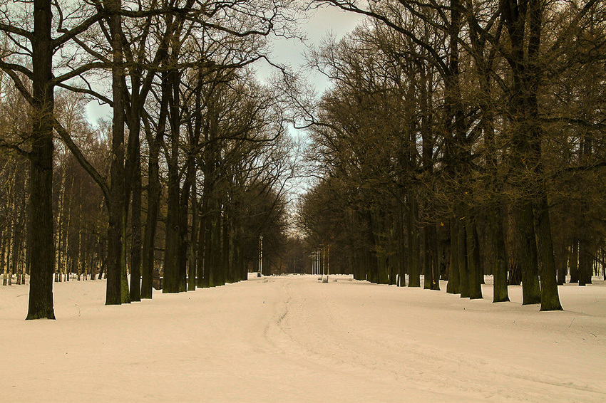 Аллея в парке