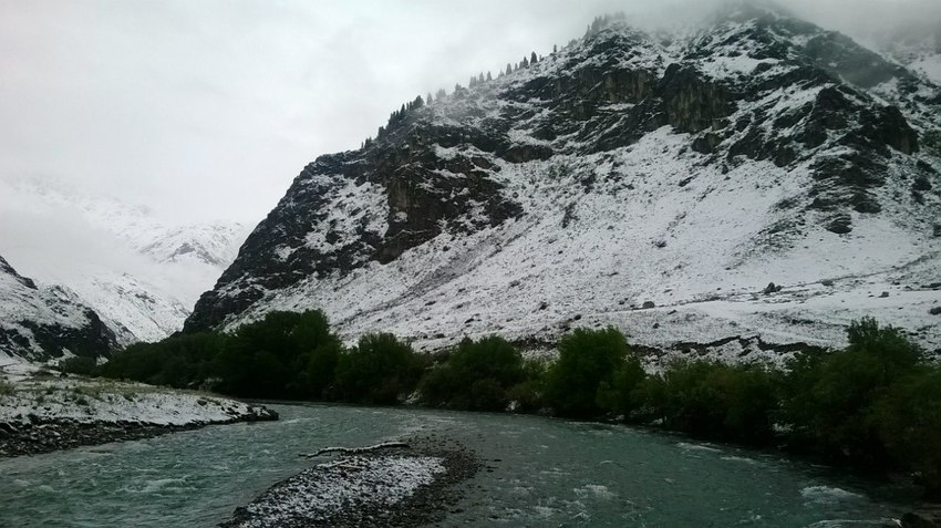 Коксу ушелие