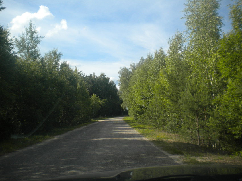 дорога от Венедеевки до Славцево