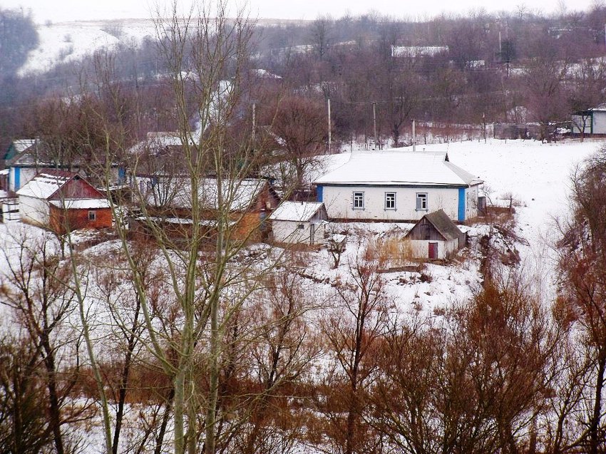 Ревівка, зима 2015 хати на лівому березі річки Тясмин.