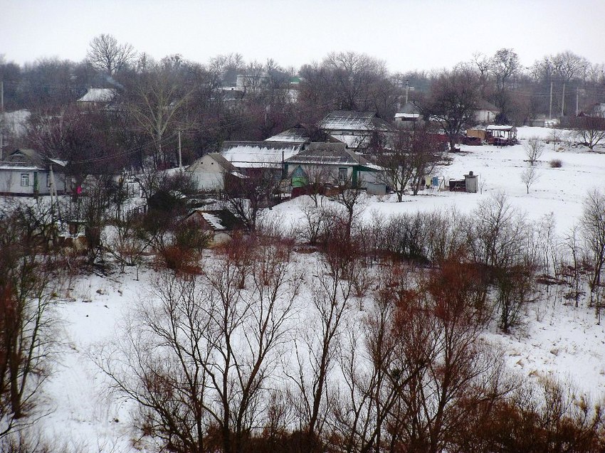 Ревівка, зима 2015