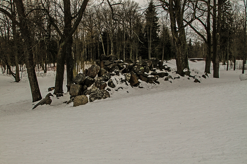 Александровский парк