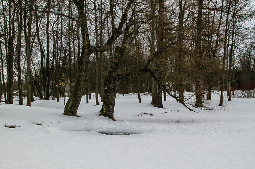 Александровский парк