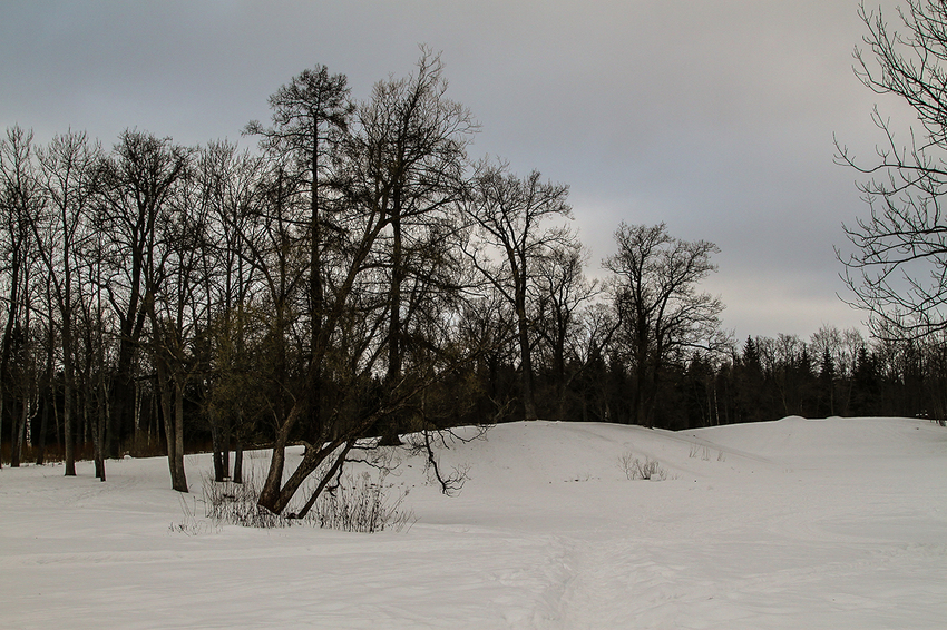 Александровский парк