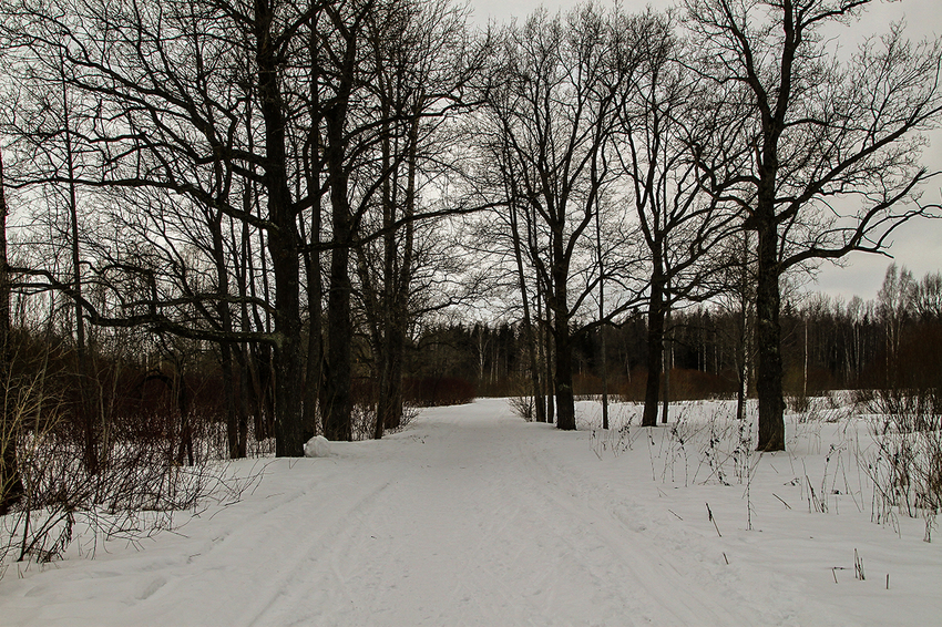 Баболовский парк