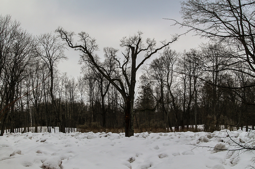 Александровский парк