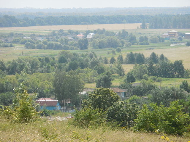село Картамышево