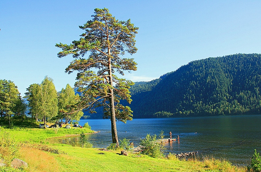 Село артыбаш телецкое озеро