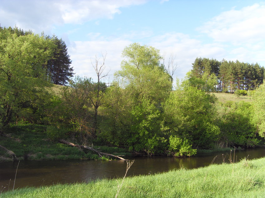 Затишье. Солнечный месяц май